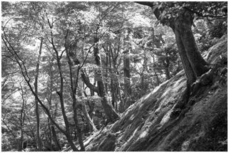 Natuur en wijsheid – Neptunus is boos