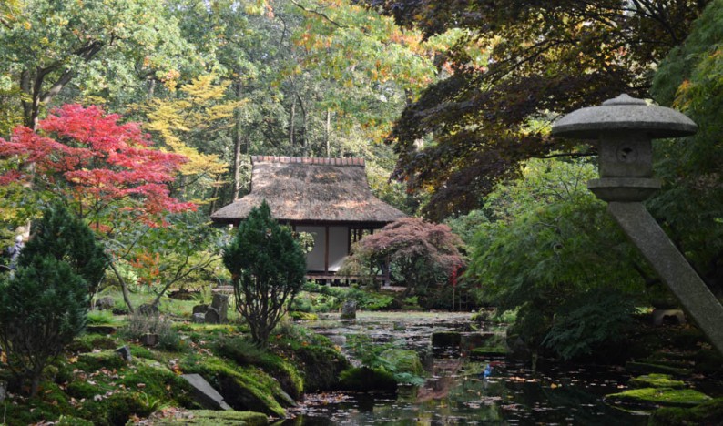 Zen.nl, Zen, meditatie, leren mediteren, Jeroen Verstappen, zentuin, studiereis, Kyoto, Japan