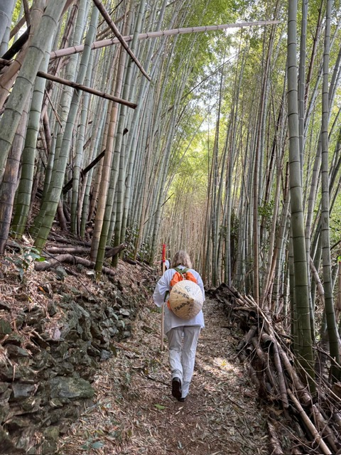 Zen.nl, Zen, meditatie, leren mediteren, pelgrimstocht, Japan, 2027, Shikoku