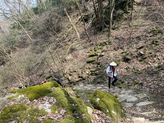 Zen.nl, Zen, meditatie, leren mediteren, pelgrimstocht, Japan, 2027, Shikoku
