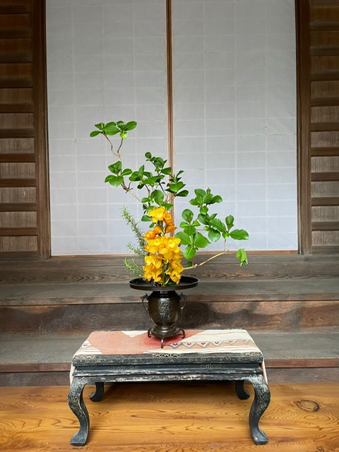 Zen.nl, Zen, meditatie, leren mediteren, pelgrimstocht, Japan, 2027, Shikoku