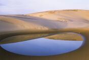 oregondunes