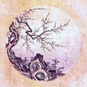 plaatjes van de os en natuur