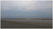 strand Petten