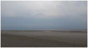 strand Petten