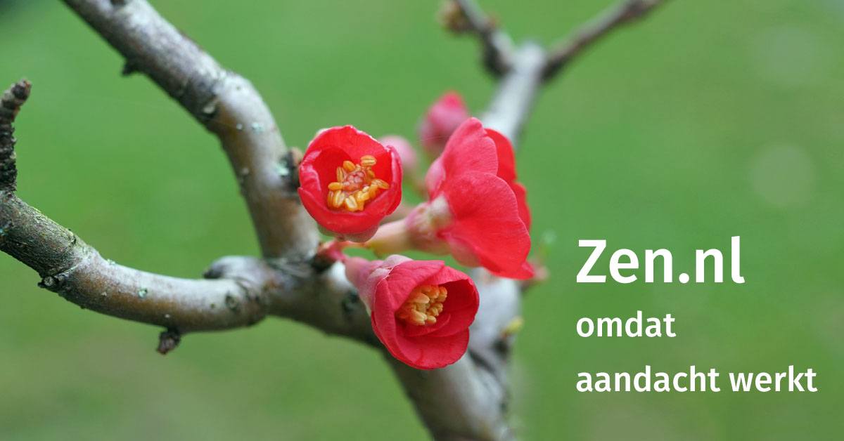 (c) Zen.nl