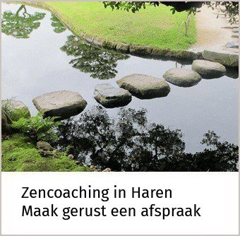 in een waterloopje liggen stapstenen van de ene oever naar de andere