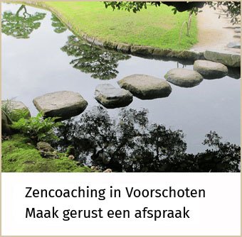 stapstenen in een waterloop in een beroemde tuin in Japan
